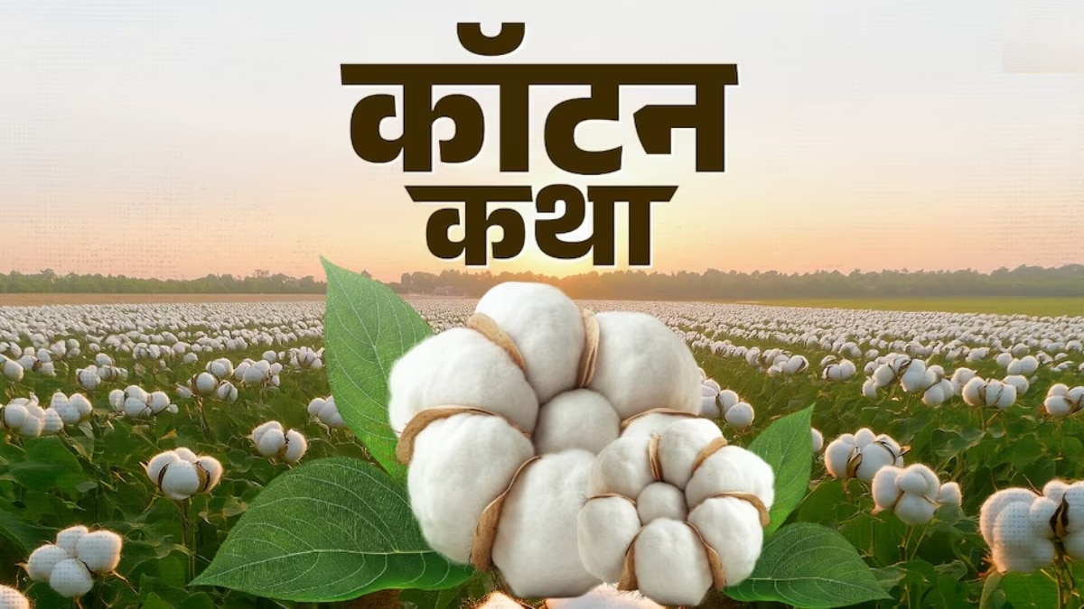 बढ़ते आयात और गिरती उत्पादकता से कपास के खेती पर भारी संकट (File: Kisan Tak)