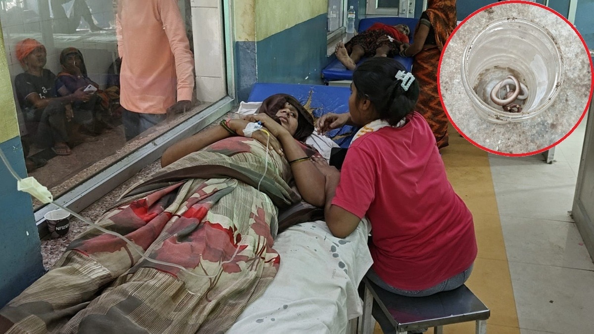 जांच में पाया गया कि सांप जहरीला नहीं है. (Photo: Siddhartha Gupta/ITG)