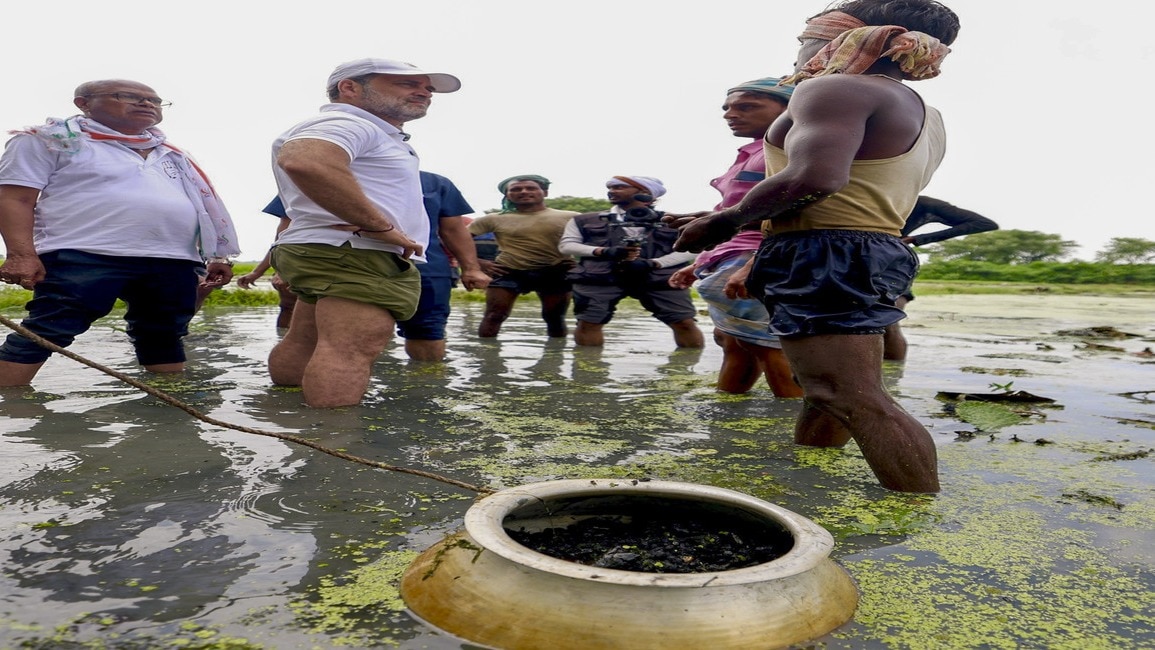 राहुल गांधी बिहार में मखाना किसानों के बीच पहुंचे.