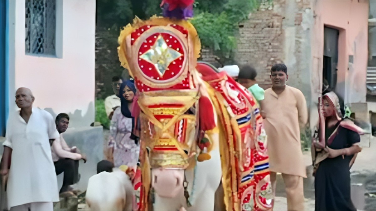 घोड़ी के बच्चे के जन्म पर कुआं पूजन (Photo: Screengrab)