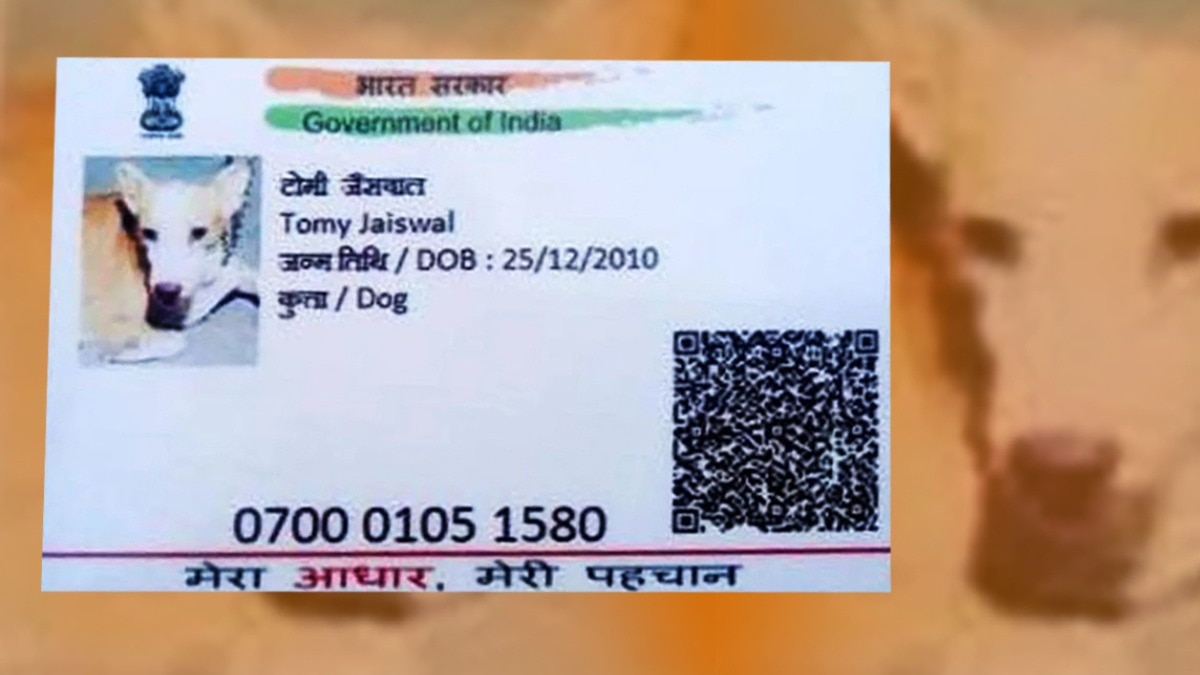 कुत्ते के आधार कार्ड से परेशान हुआ असली परिवार