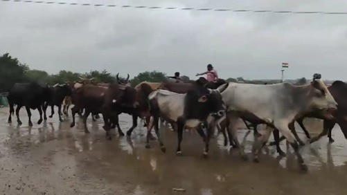 विशेष निगरानी टीम तैनात. (ITG)