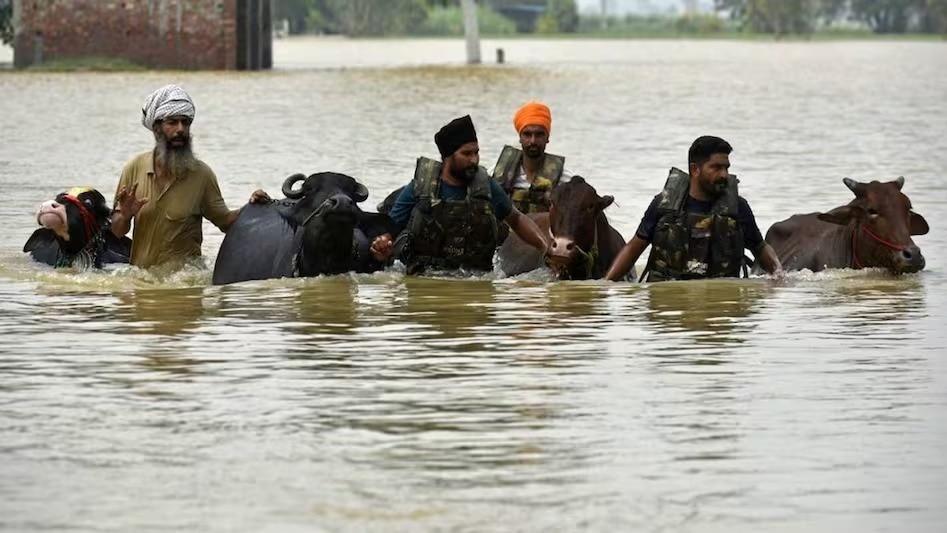 Punjab Floods