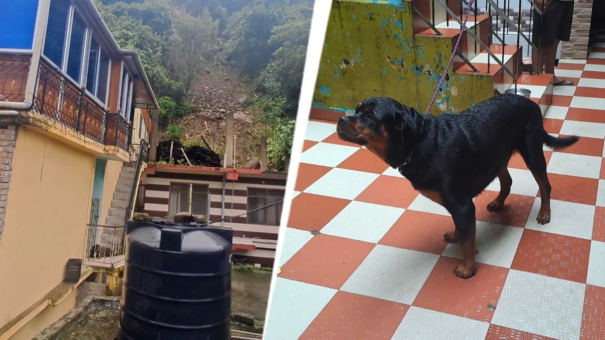 लैंडस्लाइड होते ही भौंकने लगा कुत्ता (Photo:  Dharam Veer/ITG)