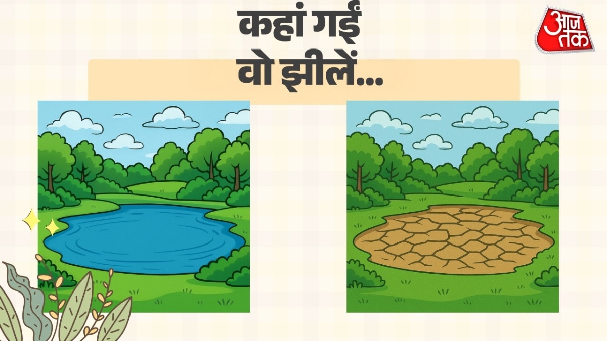 बचपन में देखी झीलें अब बस नाम की रह गईं… और दिल्ली डूबती रही (Representational Image))