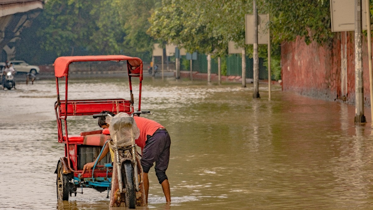 भारी बारिश की वजह से एनसीआर समेत कई राज्यों में स्कूल बंद का आदेश है. (Photo: Pexels)
