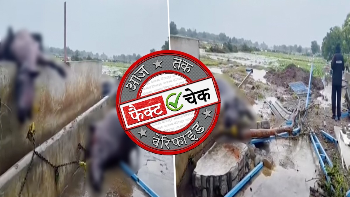 सोशल मीडिया यूजर्स