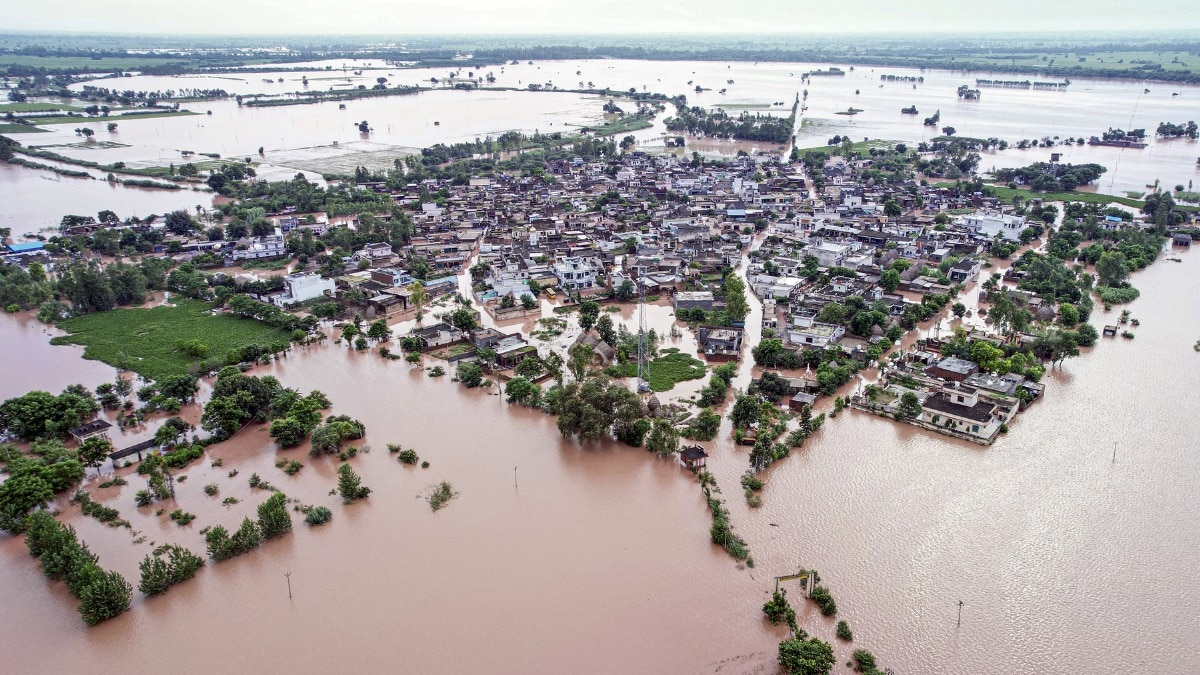 पंजाब: 1902 गांव में भरा बाढ़ का पानी. (Photo- PTI)