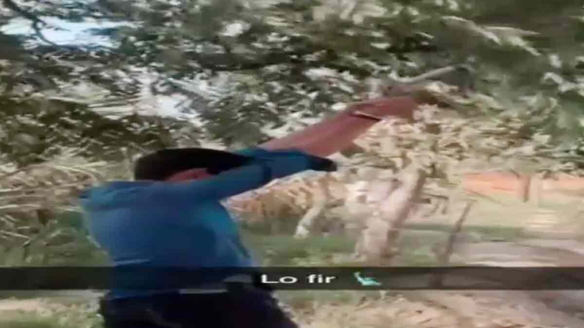 पिस्टल से साथ बनाई रील (Photo: Screengrab)