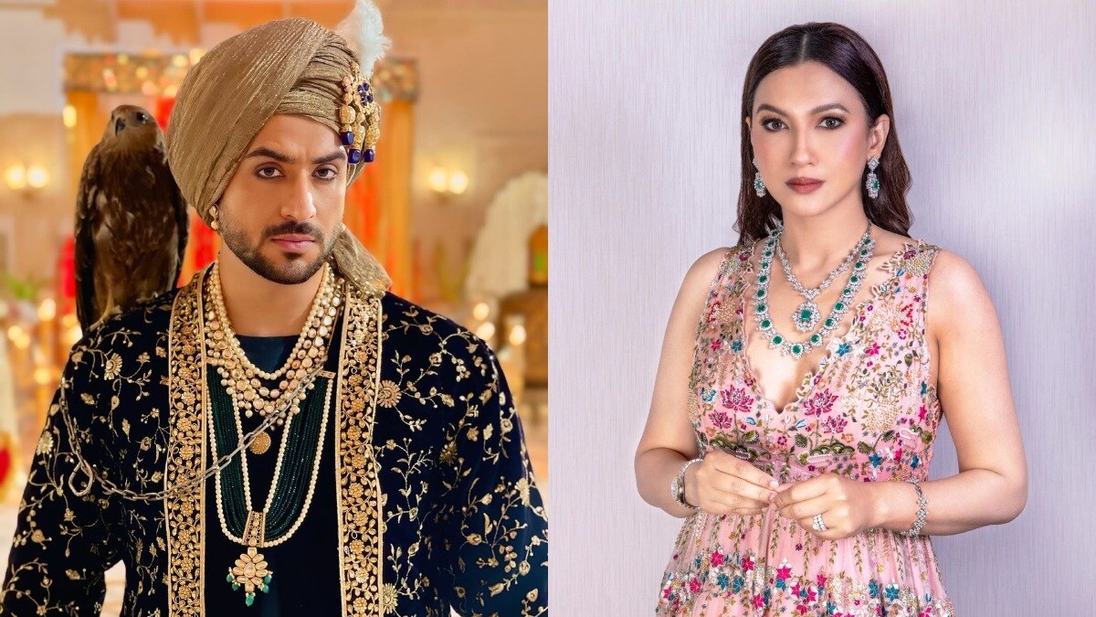 अली गोनी, गौहर खान (Photo: Instagram @alygoni @gauaharkhan)