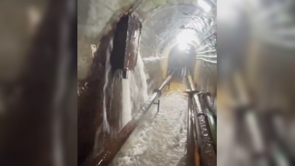 वायरल वीडियो में डैम की दीवार से पानी रिसता दिखा.(Photo:Screengrab)