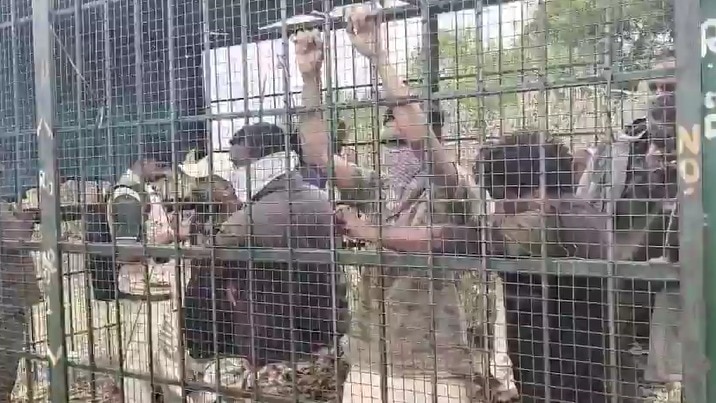 वन विभाग ने शिकायत दर्ज नहीं कराई. (Photo: Screengrab)