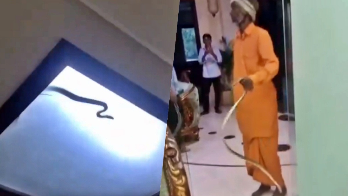 नोएडा में फैंसी लाइट के अंदर घुसे सांप को रेस्क्यू किया गया (Photo- screengrab)