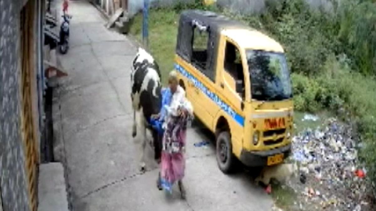 सांड ने बुजुर्ग महिला पर किया अटैक. (Photo: Screengrab)