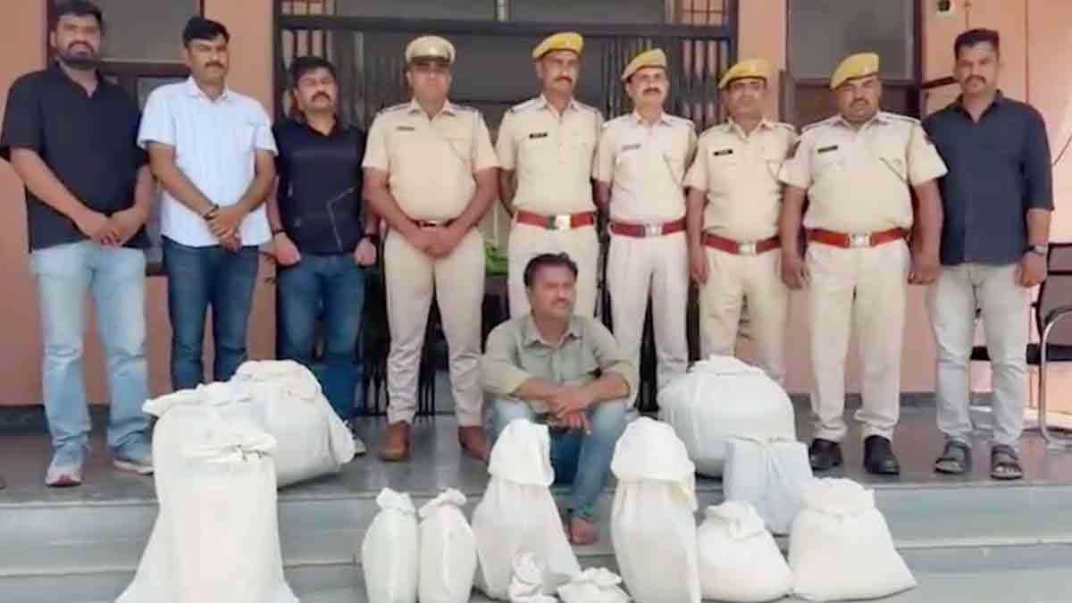 Drug Racket Busted in rajasthan 