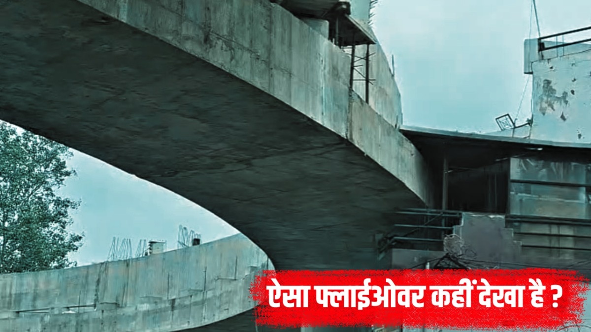 घर के बीच से निकला फ्लाईओवर (Photo: Screengrab)