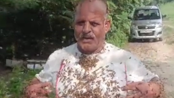 मधुमक्खियों को भोजन की व्यवस्था कराता है ये शख्स- (Photo: Screengrab)