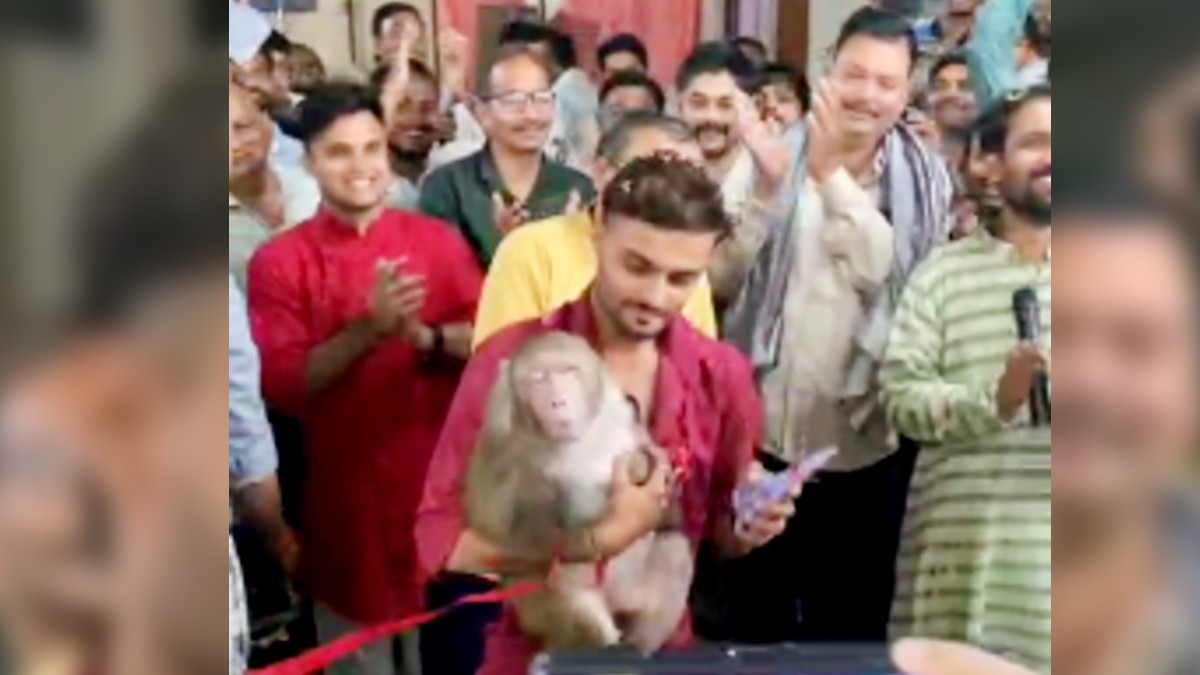 बंदरिया से फीता काटवाते हुए इंसानियत ग्रुप.(Photo:Screengrab)