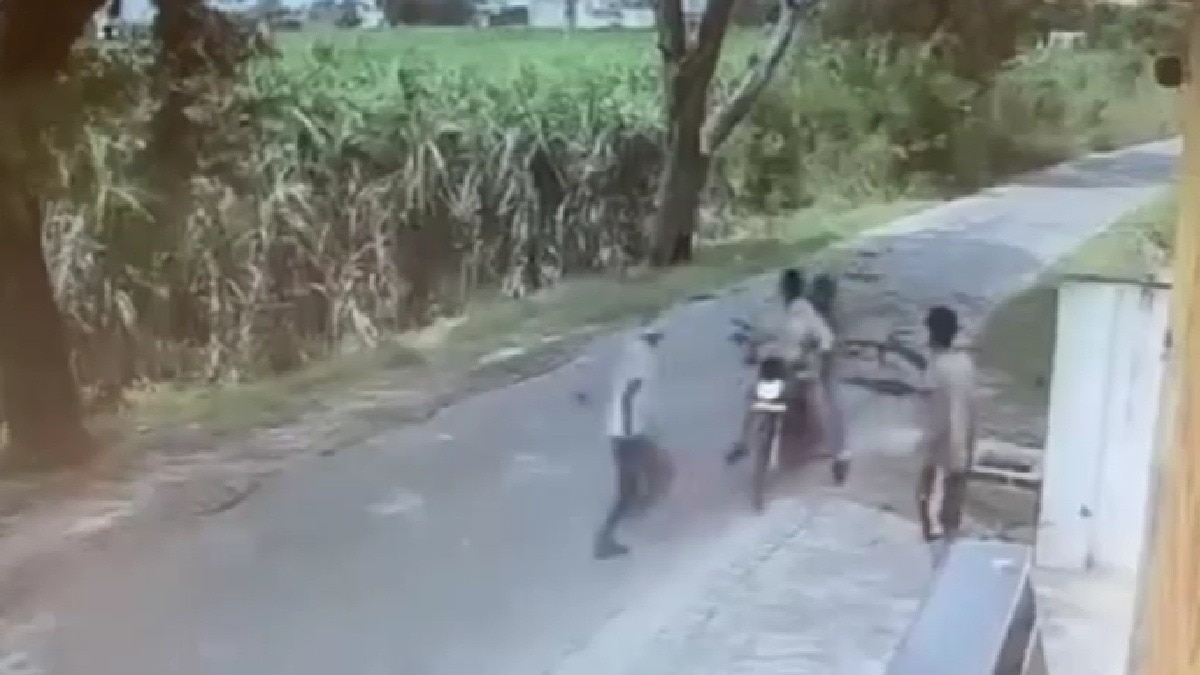 बागपत में चलती बाइक पर गिरा पेड़ का हिस्सा (Photo: ITG)