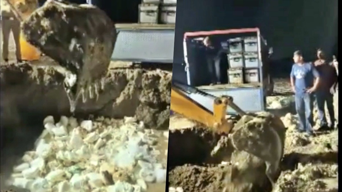 ग्रेटर नोएडा में पकड़ा गया नकली पनीर (Photo- ITG)