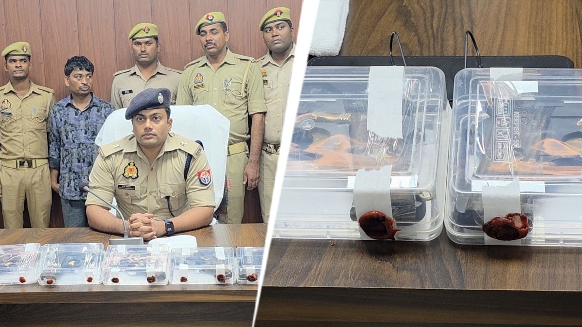 A youth arrested with five pistols in Chandauli