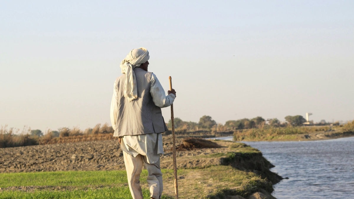 कॉटन की गुणवत्ता पर असर पड़ने से किसानों की चिंता बढ़ गई है (Photo: Unsplash)