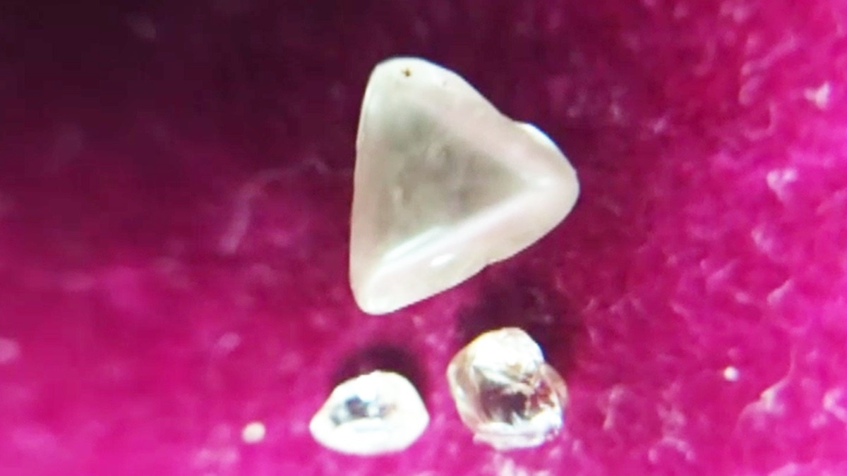 इन तीन हीरों में से एक जेम्स क्वालिटी का है.(Photo:screengrab)