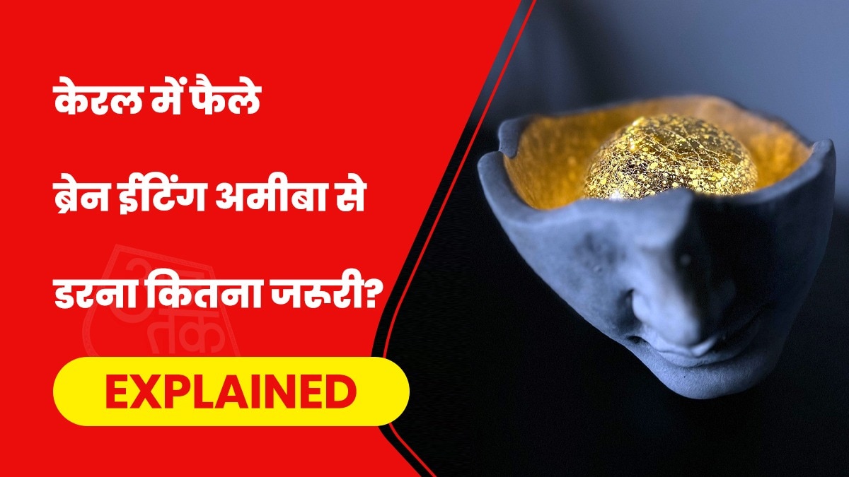 साल 2016 में केरल में पहली बार अमीबा-जन्य संक्रमण मिला था. (Photo- Pixabay)