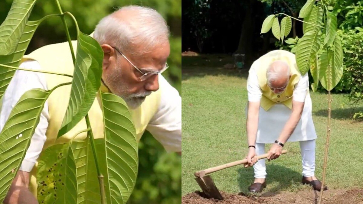pm modi Plantations