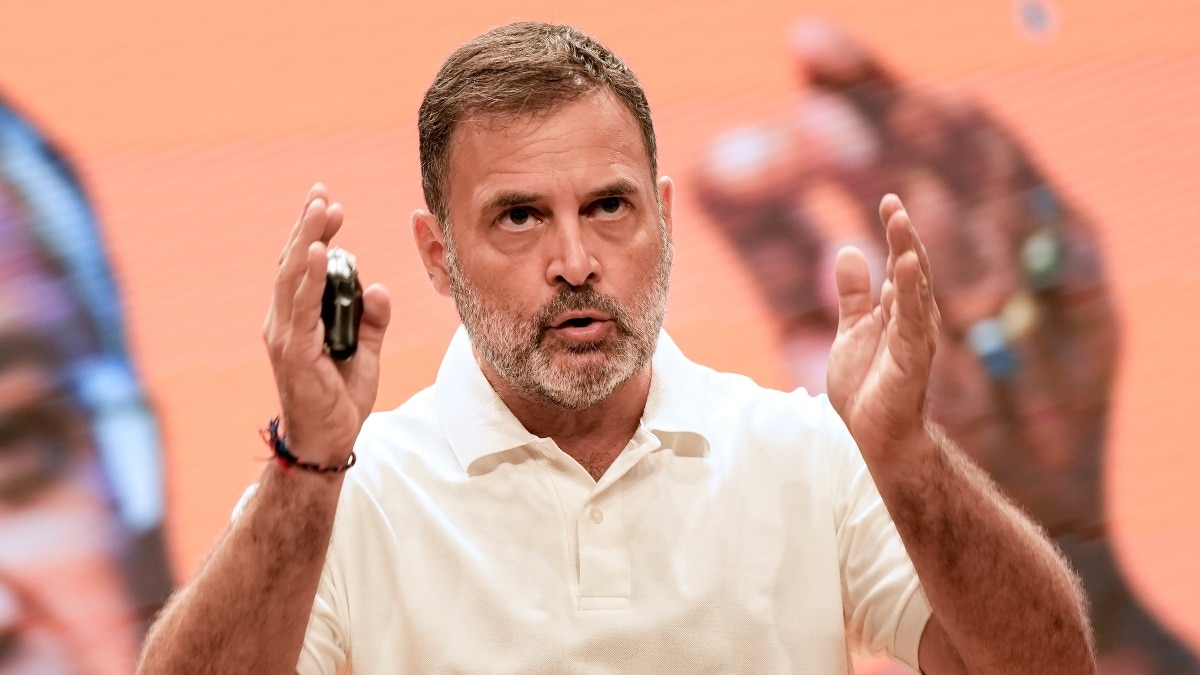 कांग्रेस सांसद राहुल गांधी ने आलंद में वोट डिलीशन के आरोप लगाए थे. (Photo-PTI)