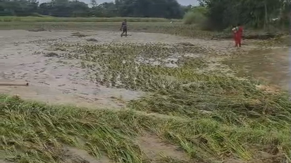 इस बार किसानों ने खरीफ सीजन की अच्छी पैदावार की उम्मीद की थी. (Photo: ITG)