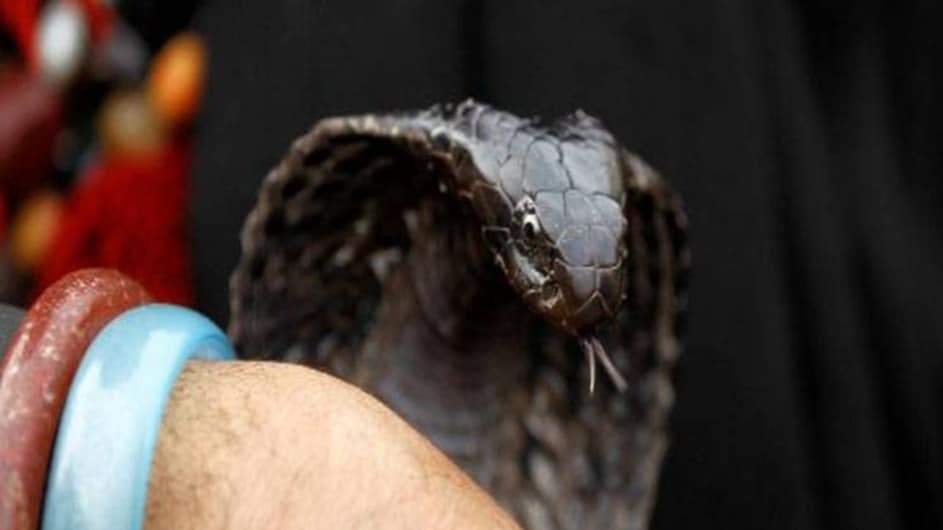 When the demand for the threshold was not met, the in -laws got the woman cut off the snake. (Photo: representational)