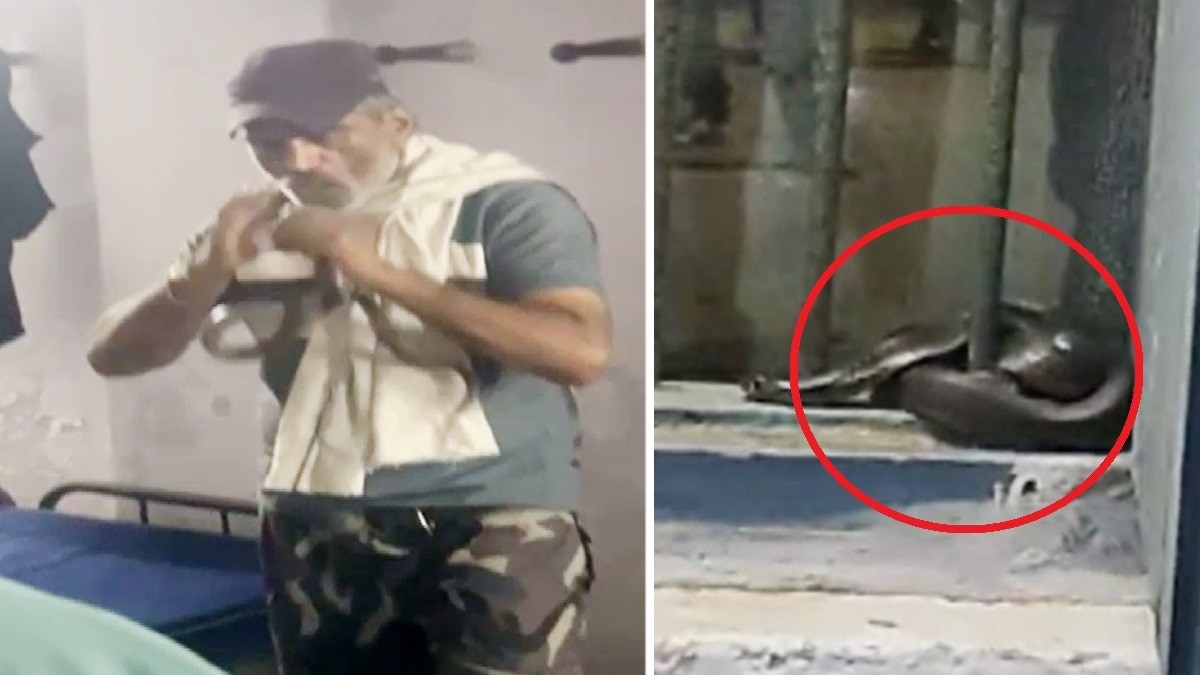 अस्तबल में घुसे सांप को पकड़ने गए थे संतोष. (Photo: AI Generated)