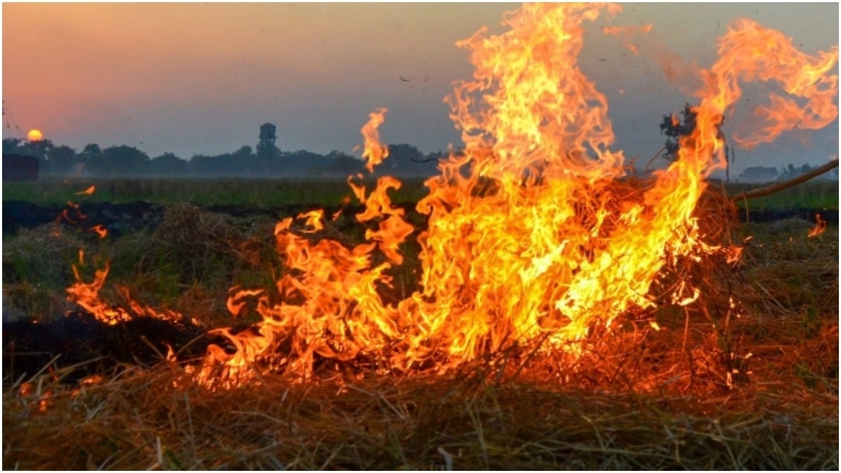 After the strictness of the Supreme Court, 27 FIRs were registered in the case of stubble burning in Punjab