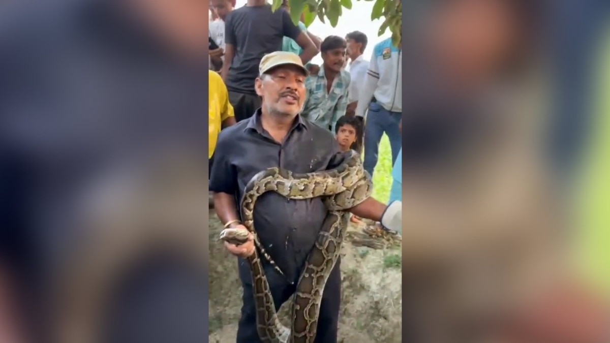 अजगर ने शख्स को जकड़ा (Photo: Screengrab)