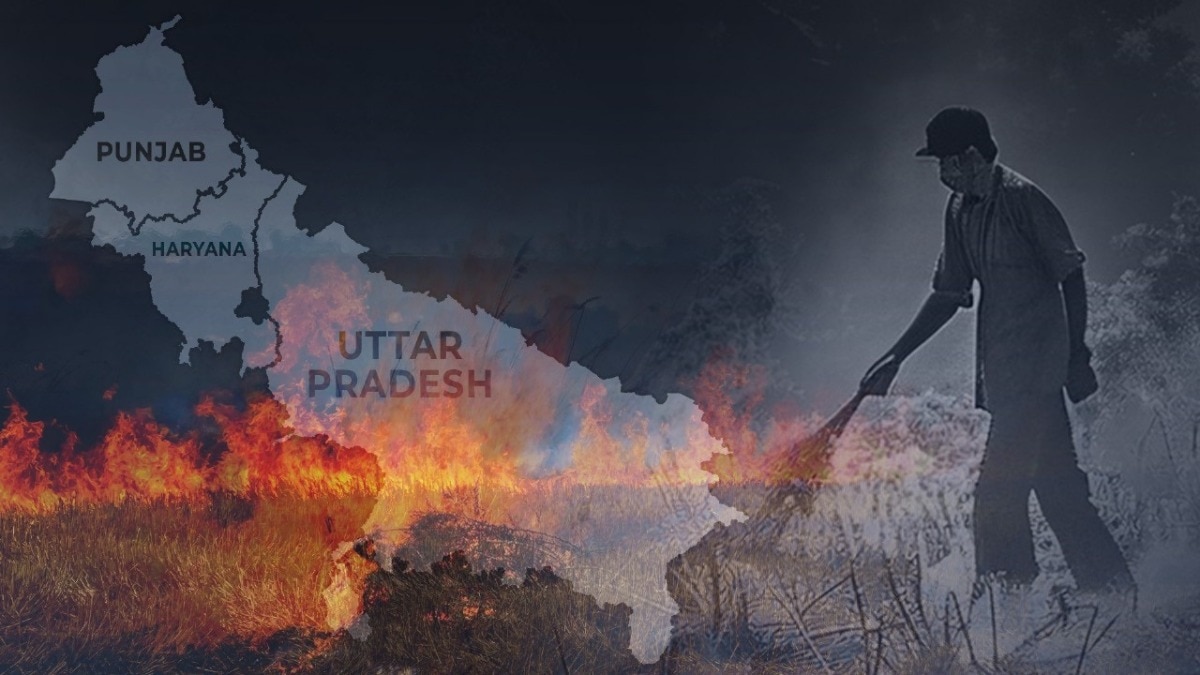 अभी तो पंजाब-हरियाणा में पराली जली भी नहीं... फिर क्यों जहरीली होने लगी दिल्ली की हवा