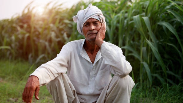  इथेनॉल से क‍िसानों को फायदा होने का दावा कर रही है सरकार  (Credit: Getty Images)