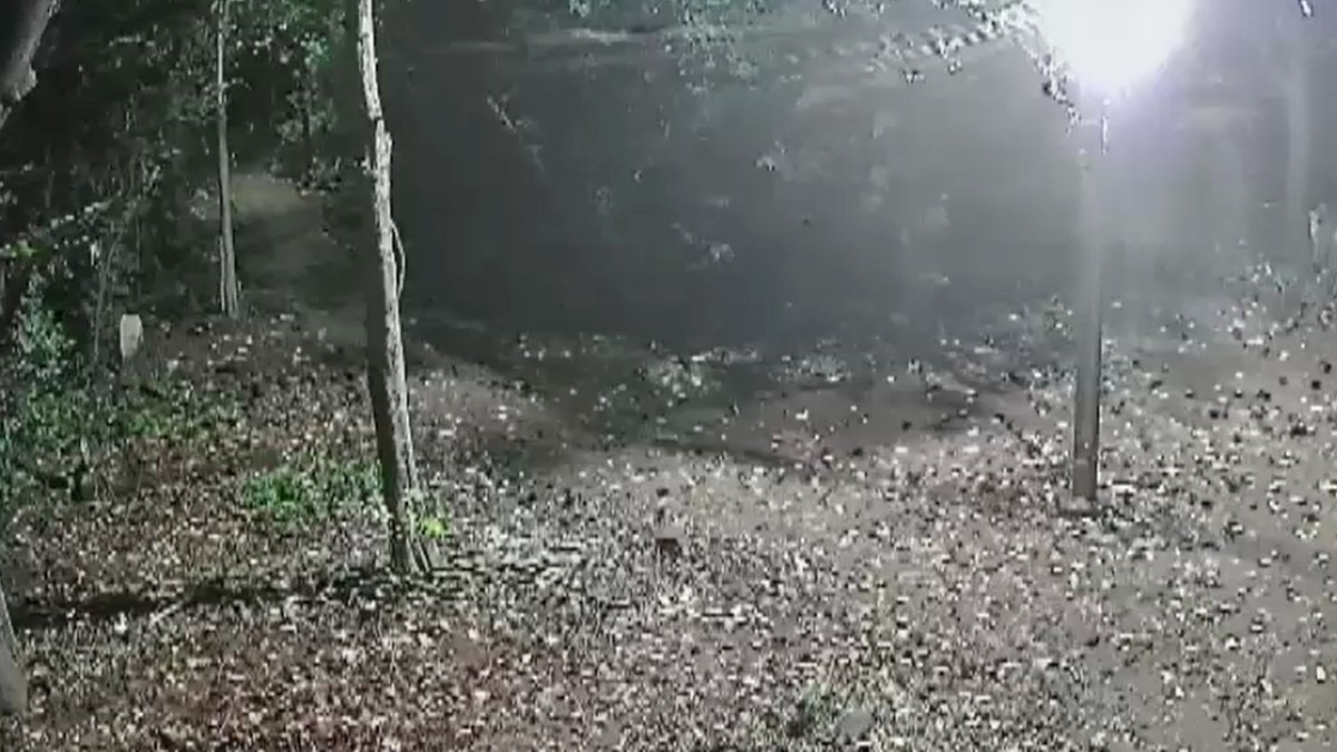 कब्र से कपड़ा उठाकर हैवान ने कैमरे को ढंक दिया.(Photo:Screengrab)