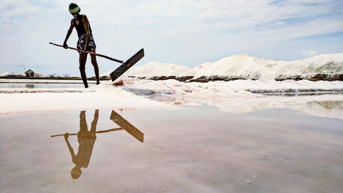 नमक बनाने वाले अगरिया लोगों की अजीब है कहानी (Photo - Pexels)