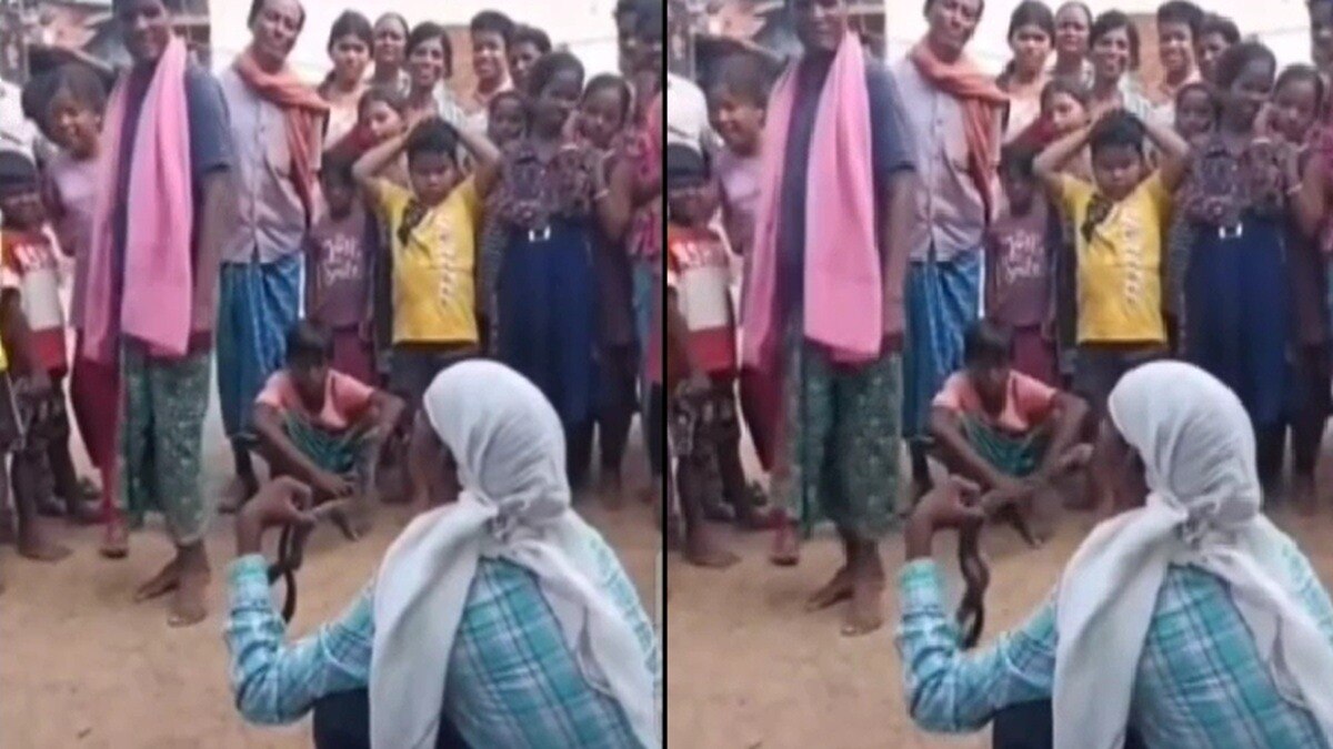 भीड़ के बीच कोबरा से खिलवाड़, जीभ में डसा और खेल खत्म (Photo: ITG)