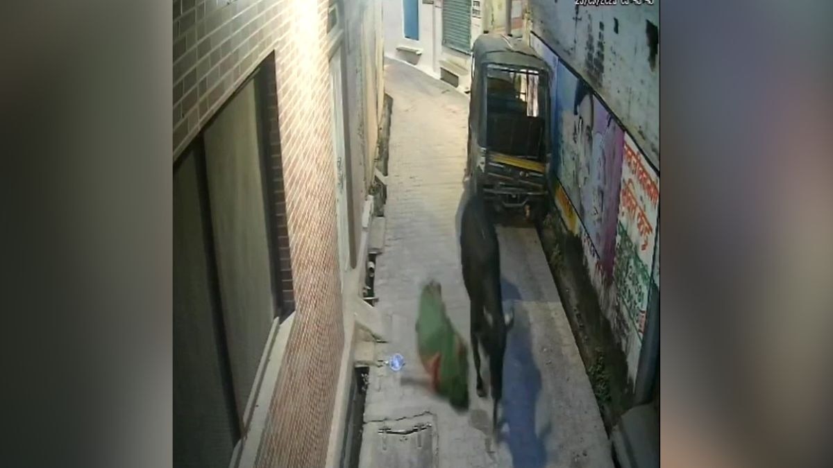 सांड ने महिला पर किया हमला. (Photo: Screengrab)