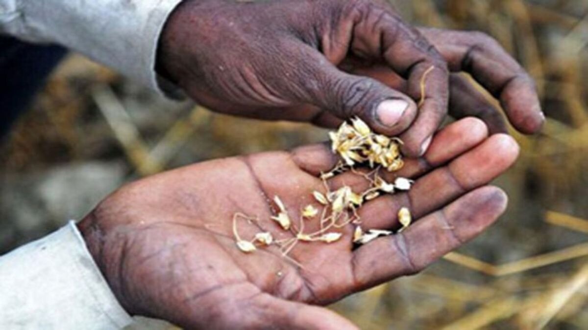 बाढ़ से तबाह हो गईं फसलें. (Photo: Representational)