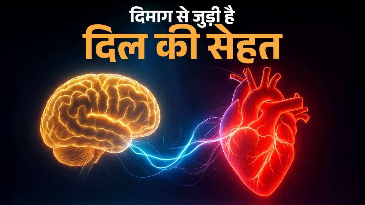 दिल को स्वस्थ कैसे रखें (Photo: AI generated)