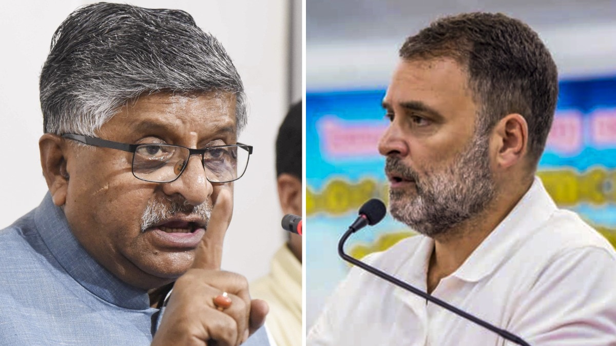 rahul gandhi india criticism bjp response 