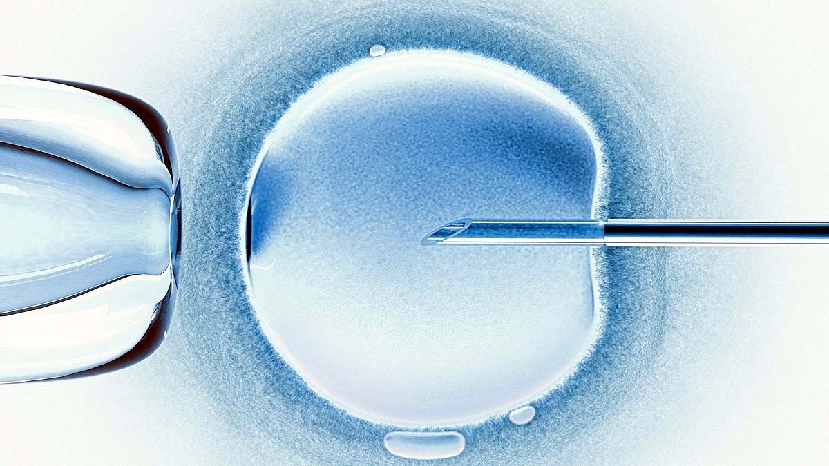 egg made from human skin  