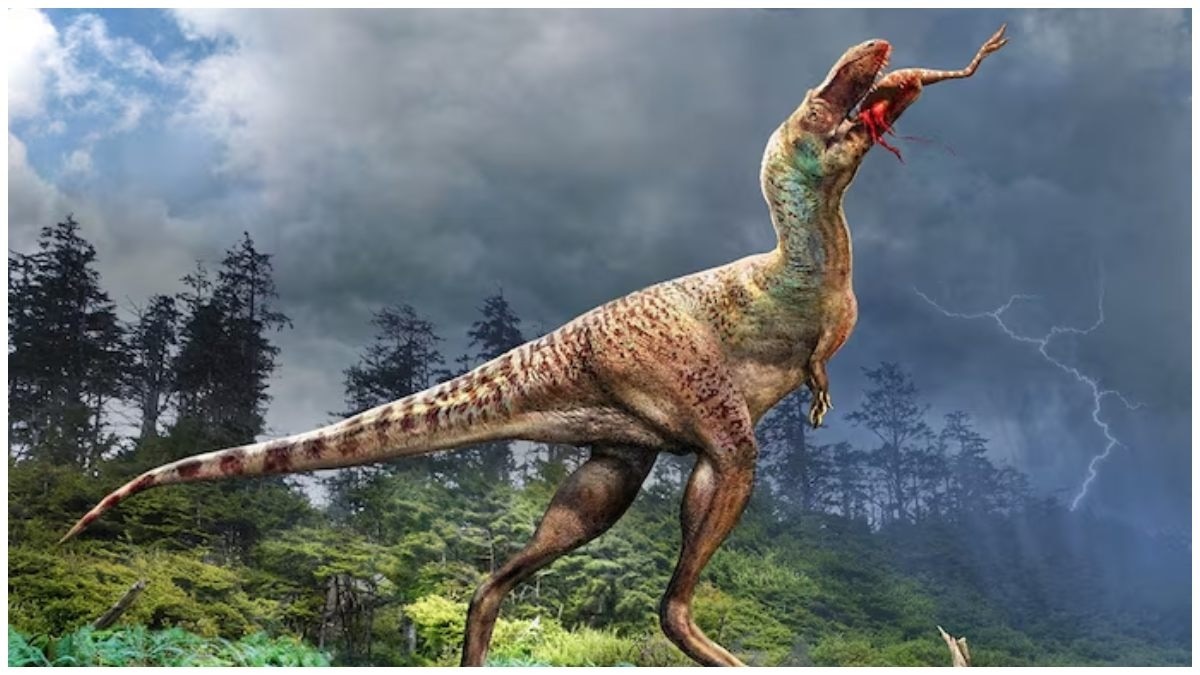 अफ्रीकी चेनानीसॉरस टी-रेक्स के छोटे समकालीन माने जाते हैं. (Photo: Reuters))