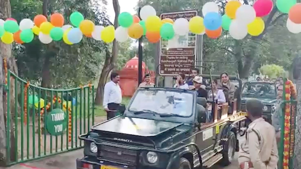 सैलानी कर सकेंगे बाघों के दीदार.(Photo:Screengrab)