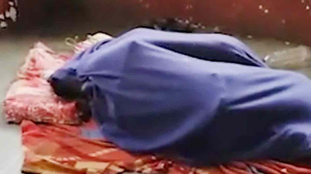 अस्पताल के असमता लॉन में अश्लील हरकत (Photo: Screengrab)