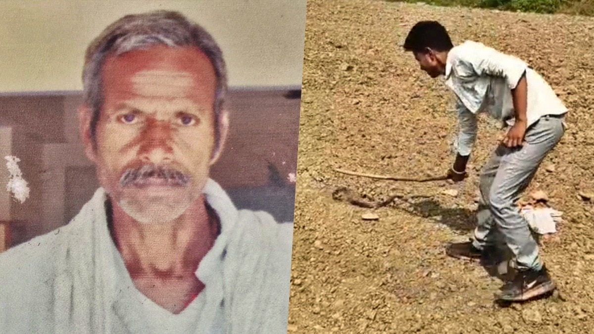 झांसी: नागिन के डसने से किसान की मौत, गुस्साए ग्रामीणों ने सपेरे से पकड़वाकर मटके में बंद किया, फिर पीट-पीटकर मार डाला – nagin beaten to death captured by snake charmer after kisan death jhansi lclam
