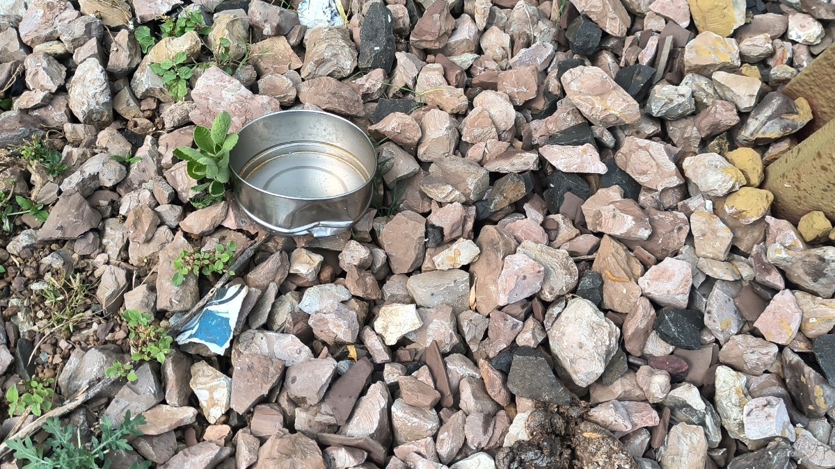 ट्रैक पर इयरफोन लगाकर गाना सुनते हुए जा रहा था युवक, तभी आ गई ट्रेन... कटकर हुई मौत